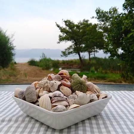 Seaside In A Private Olive Field * Petalidi