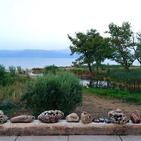 Seaside In A Private Olive Field Holiday home Petalidi